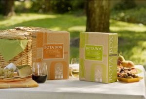 bota-box-picnic