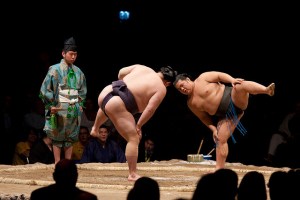 Sumo Wrestler diet