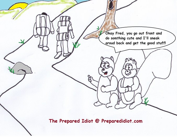 Squirel while camping backpacking